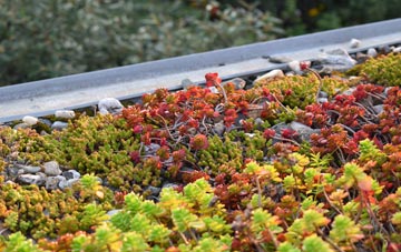 the cost of Down Thomas green roof installation