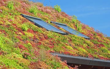 Down Thomas living roof systems