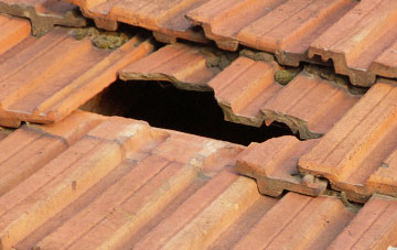 roof repair Down Thomas, Devon